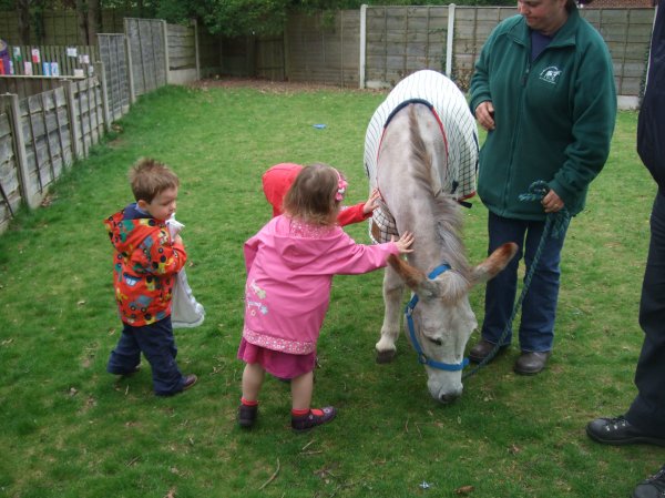 The Elisabeth Svendsen Trust for Children and Donkeys Photo-1