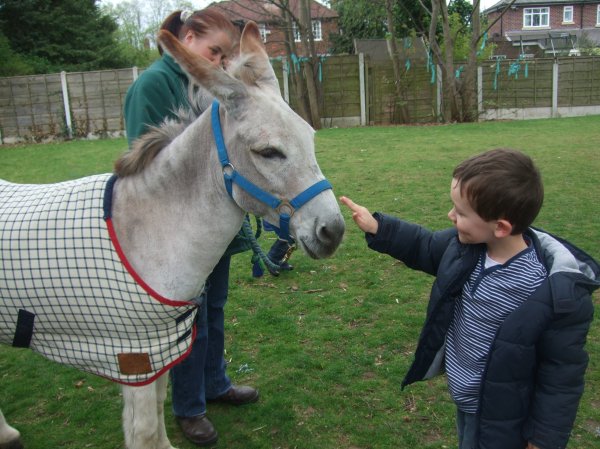The Elisabeth Svendsen Trust for Children and Donkeys Photo-2