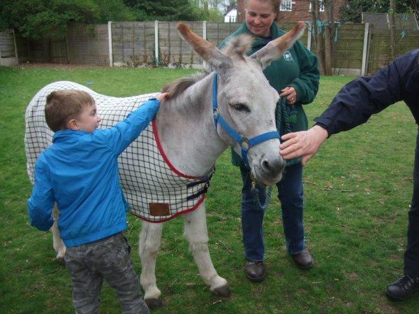 The Elisabeth Svendsen Trust for Children and Donkeys Photo-3