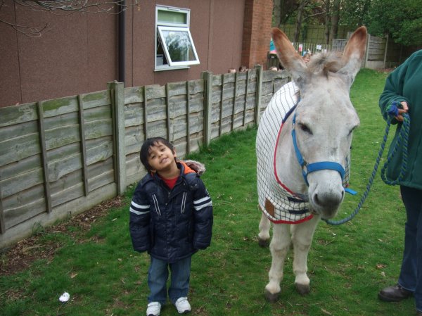 The Elisabeth Svendsen Trust for Children and Donkeys Photo-4