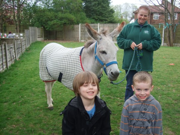The Elisabeth Svendsen Trust for Children and Donkeys Photo-5