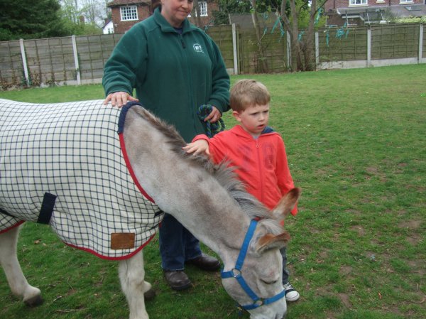The Elisabeth Svendsen Trust for Children and Donkeys Photo-6