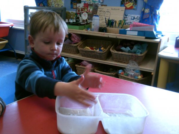 Grow Your Own Project starts with growing cress Photo-2