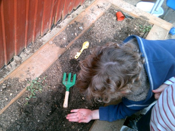 Grow Your Own Project starts with growing cress Photo-5