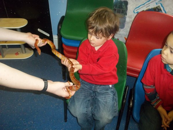 Zoolab visits nursery Photo-2