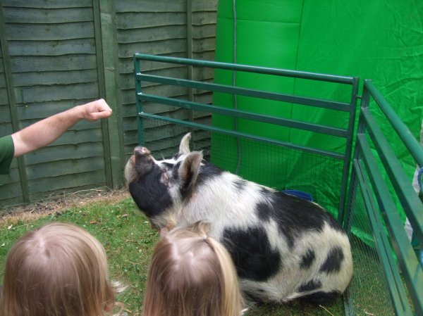Wellybob Farm Photo-1