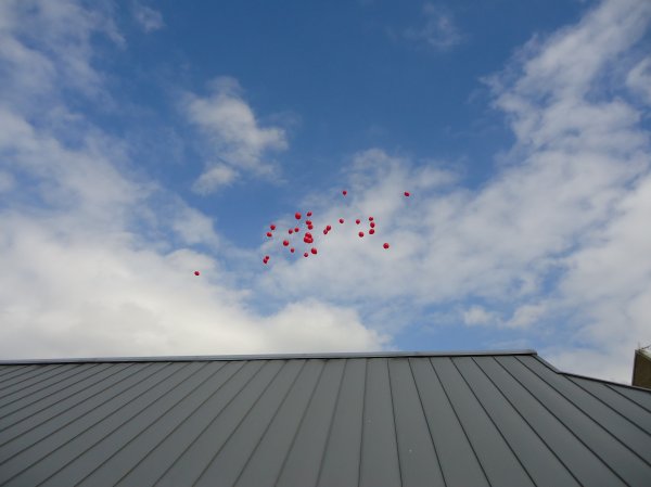 Winston's Wish Launch Photo-5
