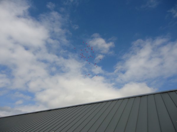 Winston's Wish Launch Photo-6
