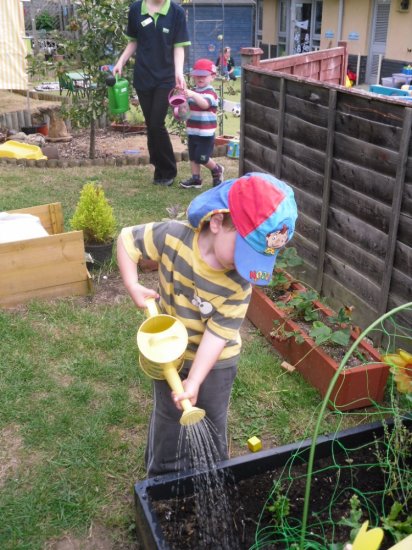 Grow your own at Home! Photo-3