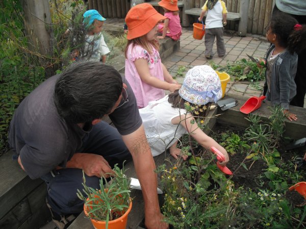 Grow your own at Home! Photo-4