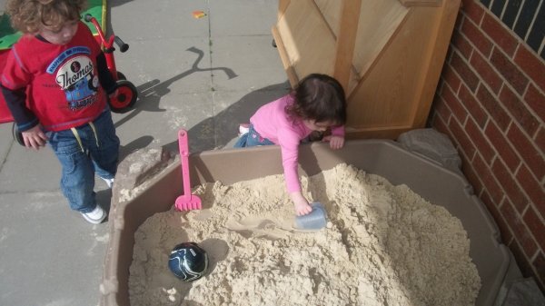 Playing in the Sun Photo-1