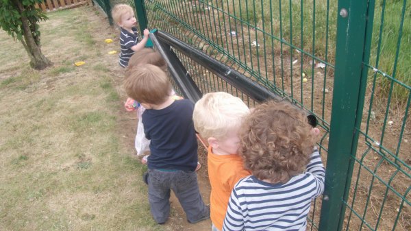 Playing in the Sun Photo-4