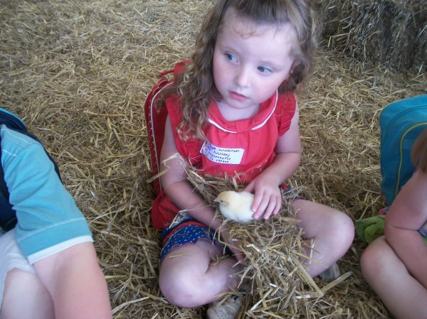 Children Visit Wild Boar Park Photo-3