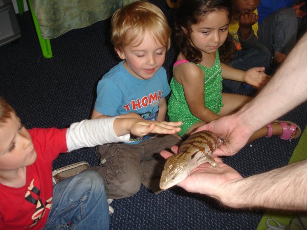 Children meet giant tortoise! Photo-3
