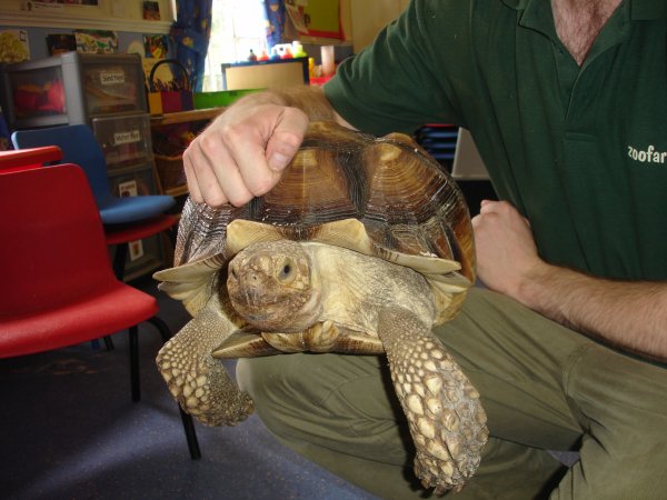 Children meet giant tortoise! Photo-4