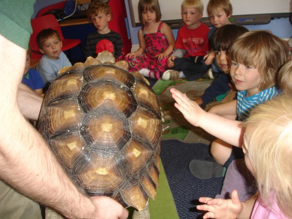 Children meet giant tortoise! Photo-6