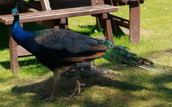 Blackpool Zoo Trip Photo-1