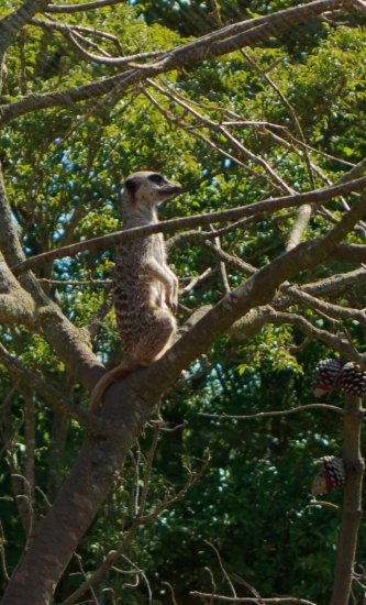 Blackpool Zoo Trip Photo-2