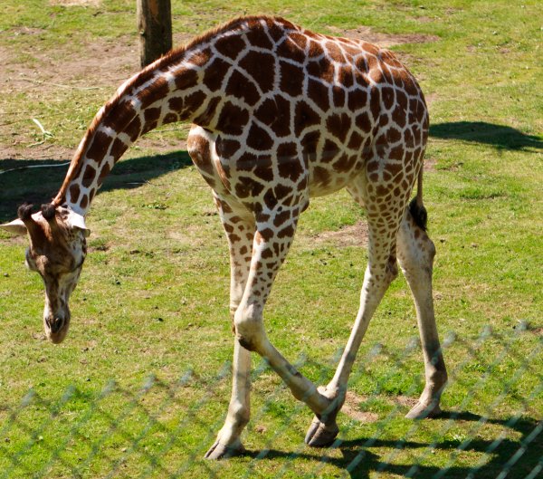 Blackpool Zoo Trip Photo-3