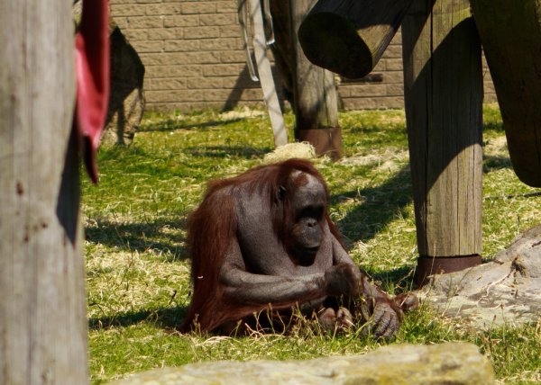 Blackpool Zoo Trip Photo-4