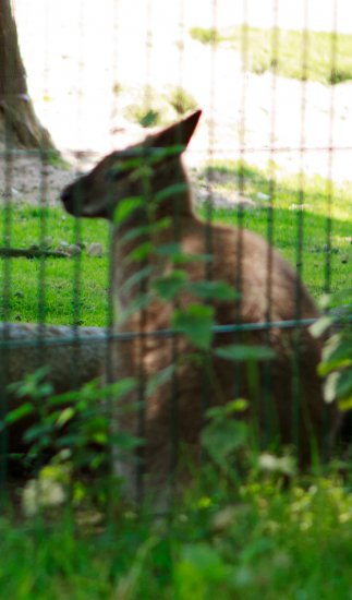 Blackpool Zoo Trip Photo-5