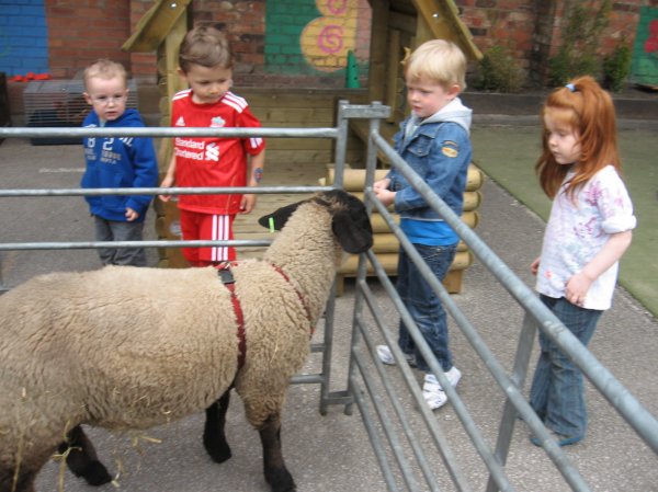 Acorn Farm entertains us all! Photo-1