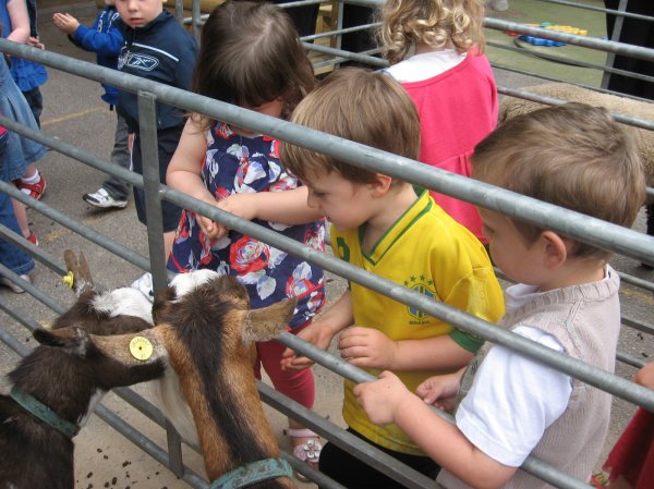 Acorn Farm entertains us all! Photo-2