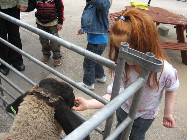 Acorn Farm entertains us all! Photo-3