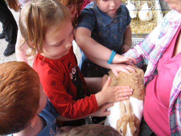 Acorn Farm entertains us all! Photo-4