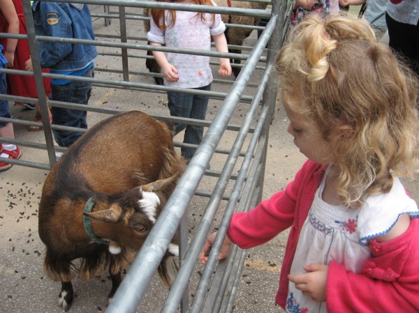 Acorn Farm entertains us all! Photo-6