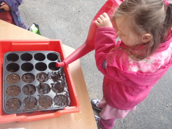 Success at Tatton Park! Photo-1