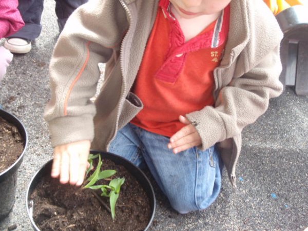 Success at Tatton Park! Photo-2