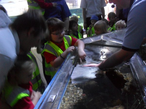 Trip to 'The Deep' Photo-1