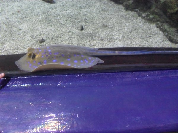 Trip to 'The Deep' Photo-2