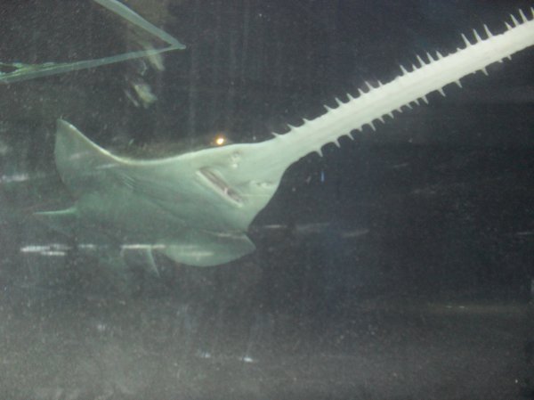 Trip to 'The Deep' Photo-3