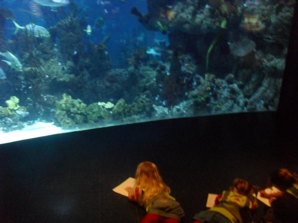 Trip to 'The Deep' Photo-4