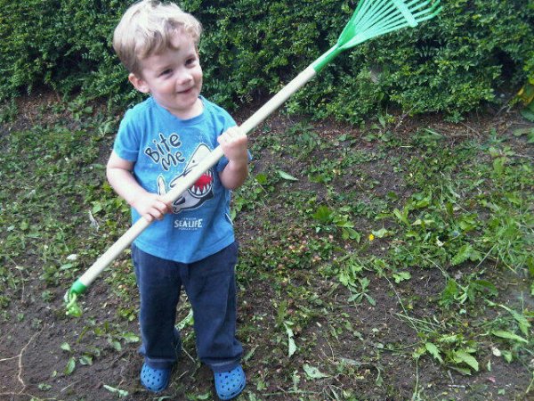Our Fantastic Garden! Photo-2