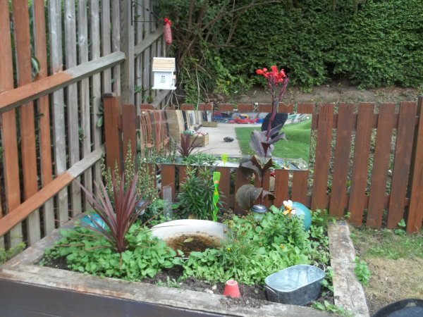Our Fantastic Garden! Photo-4