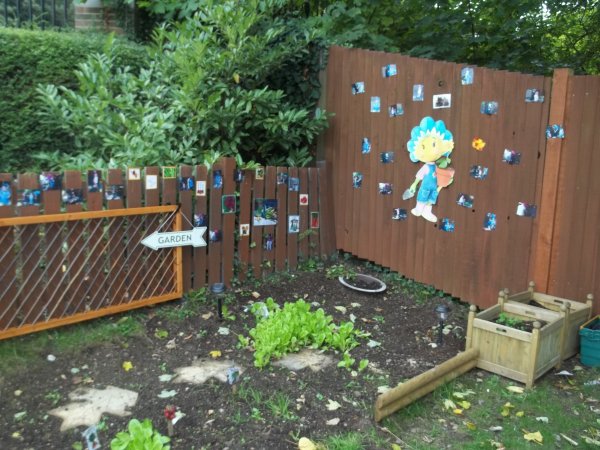 Our Fantastic Garden! Photo-5
