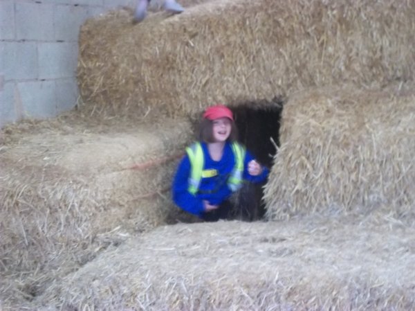 The Hive- Wild boar park Photo-3