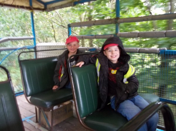 The Hive- Wild boar park Photo-5