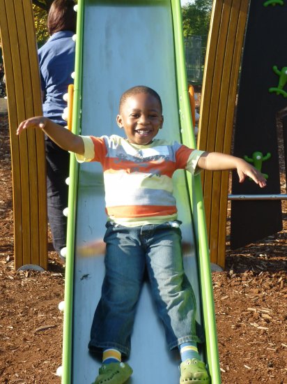 Bumble Bees outing to the park Photo-1