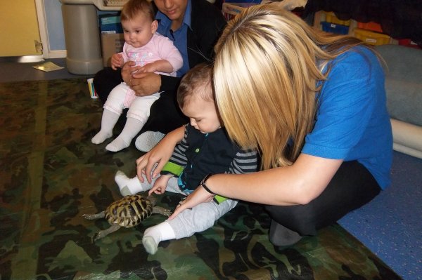 Animals for Parties Photo-1