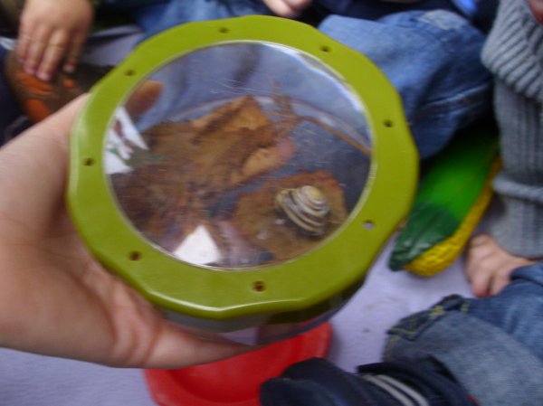 Wildlife week Photo-5