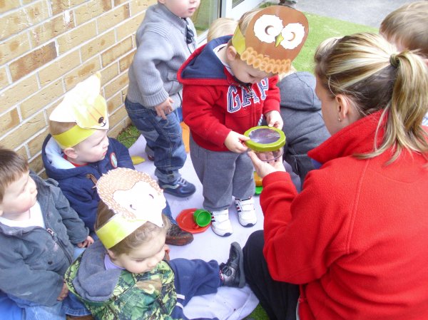 Wildlife week Photo-6
