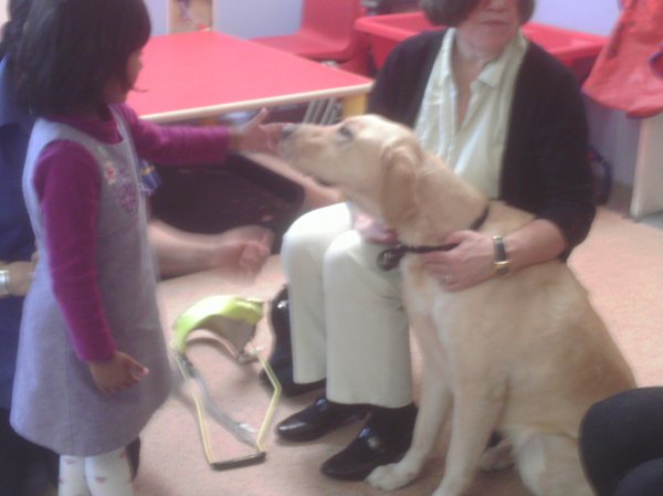 Guide Dog Comes To Nursery Photo-3
