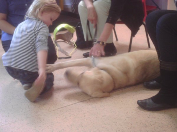 Guide Dog Comes To Nursery Photo-4