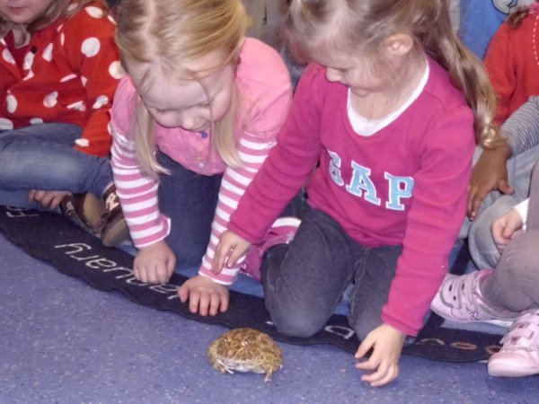 Animals in the nursery Photo-3
