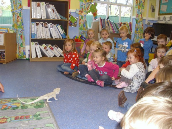 Animals in the nursery Photo-4