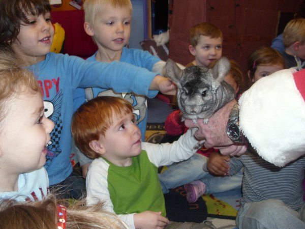 Animals in the nursery Photo-6